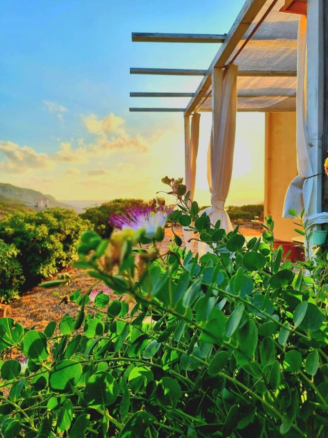B&B Calata Di Soli Miniera dellʼArgentiera Buitenkant foto